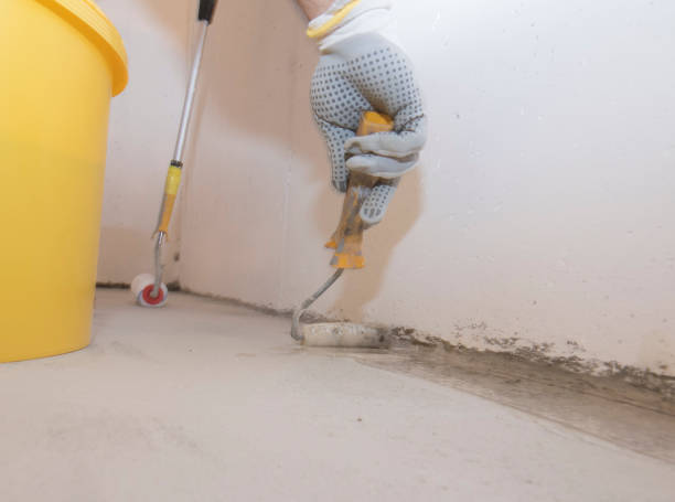 Best Termite Inspection and Treatment  in Bent Creek, NC